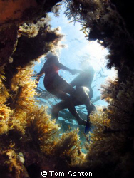 A couple of swimmers shot from a wee cave below by Tom Ashton 